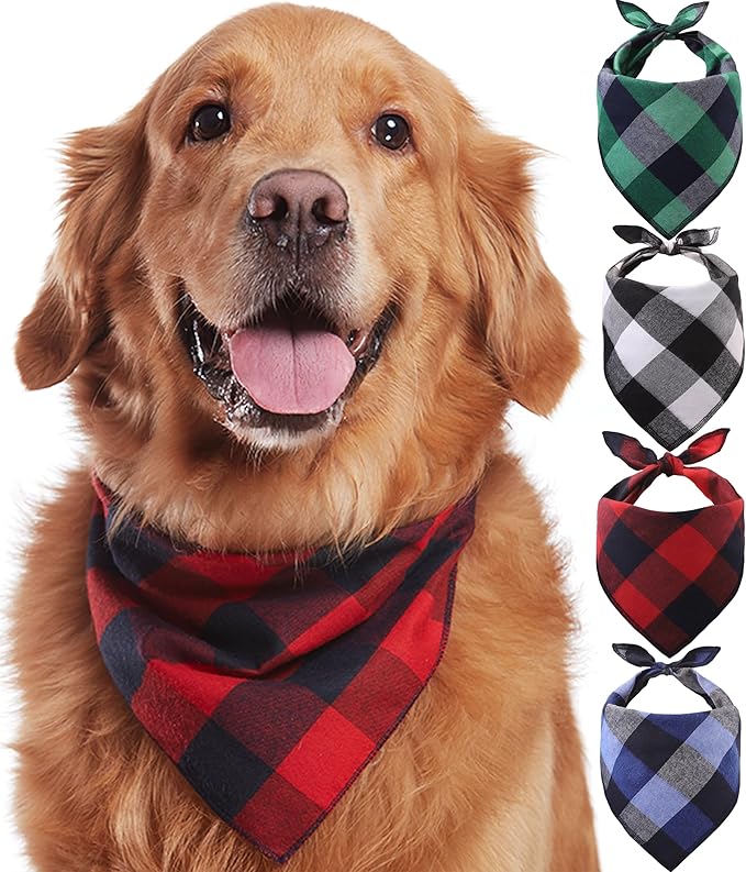 Bandana Style 1
