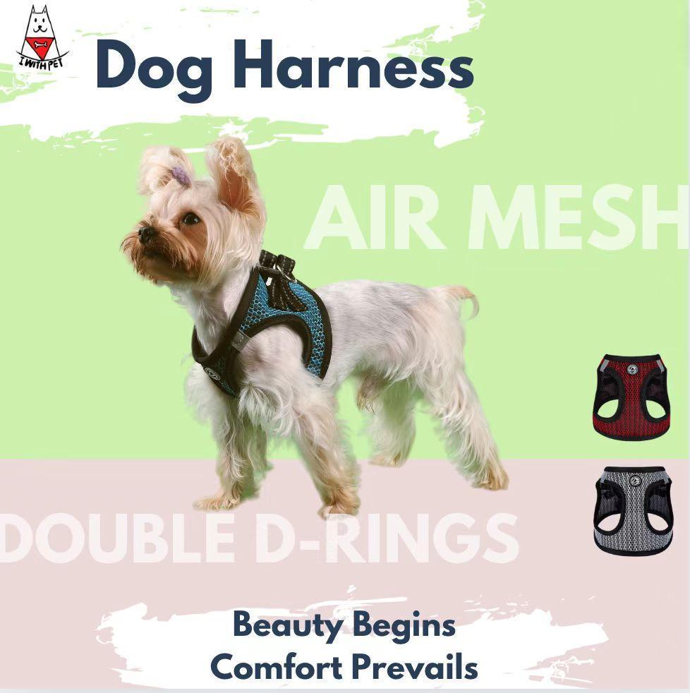 Designer Pet Collar